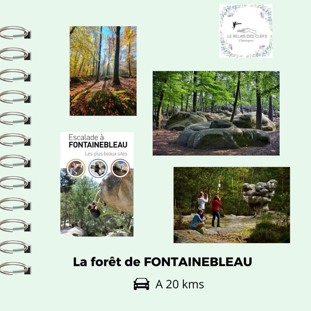 Valpuiseaux Le Relais Des Clefs - Au Calme Du Gatinais - Escapade A Deux - Terrasse Privee - Wifi - Offre Romantique Sur Demande المظهر الخارجي الصورة