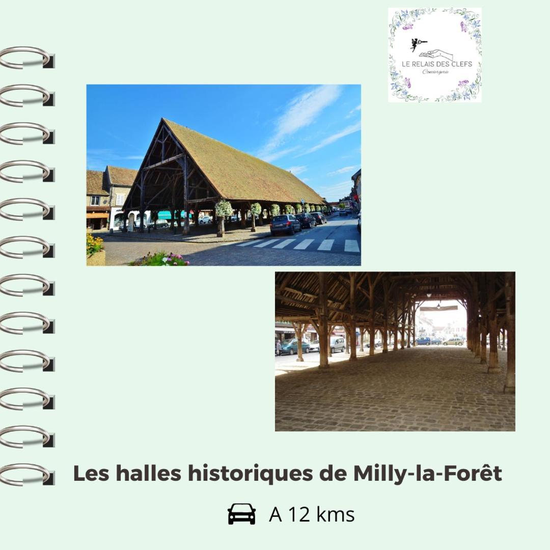 Valpuiseaux Le Relais Des Clefs - Au Calme Du Gatinais - Escapade A Deux - Terrasse Privee - Wifi - Offre Romantique Sur Demande المظهر الخارجي الصورة